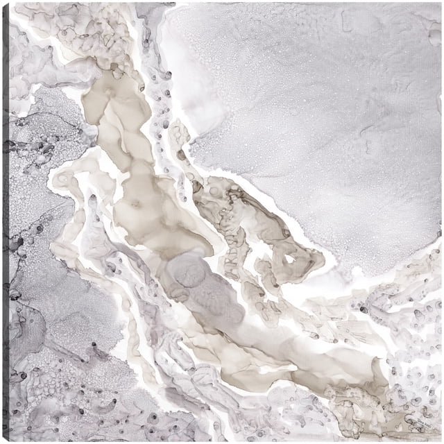 Cuadro Decorativo | Fine Art Tj | Resumen Mineral Plateado Y Gris Por Tara Reed - 127 x 127 cm