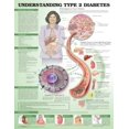 thumbnail image 1 of Pre-Owned Understanding Type 2 Diabetes Anatomical Chart, 1 of 1