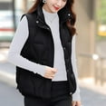 thumbnail image 2 of Feancey Winter Down Vest for Women Sleeveless Lightweight Puffer Jackets Zip Up Stand Collar Quilted Waistcoat Fashion Vest with Pockets Black XXL, 2 of 10