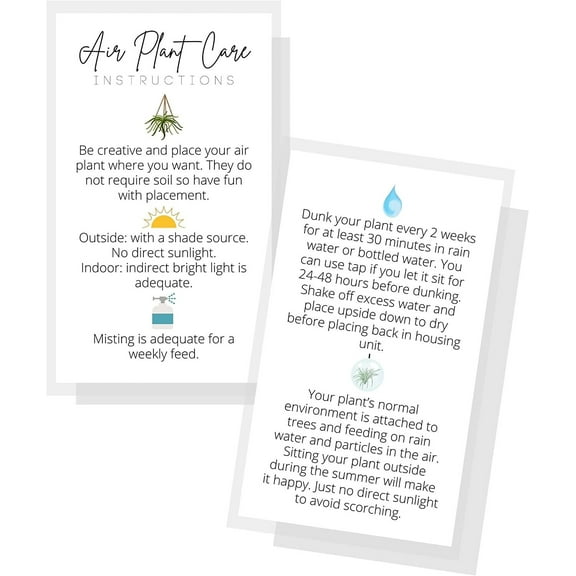 Air Plant Care General Instructions Card  50 Pack  2x3.5 in Business Card  Air Plant Care  Plant Care Guide for House Sitter, Neighbor, Friend  White Card with Colored Icons