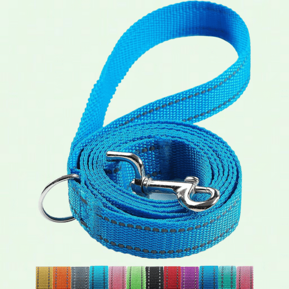 Reflective Dog Leash 6FT for Small, Medium, and Large Dogs - Durable Nylon Leash for Walking and Training - Puppy Leash with D Ring (Blue, 3/4 inch x 6FT)