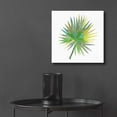 thumbnail image 6 of Epic Art 'Tropical Fun Palms IIII' by Courtney Prahl, Acrylic Glass Wall Art, 12"x12", 6 of 8