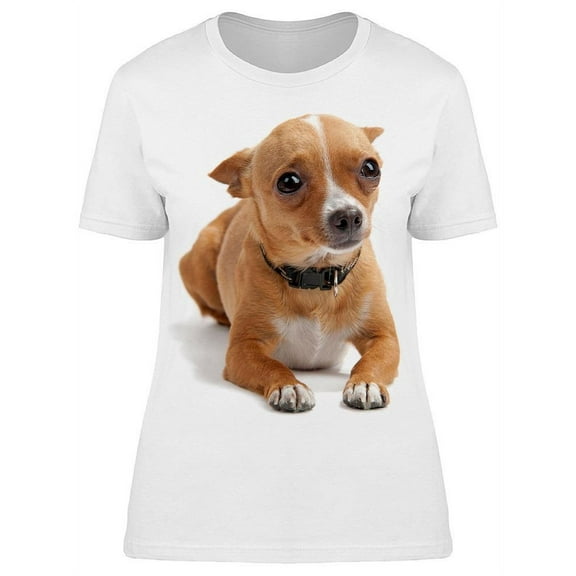 Scared Chihuahua T-Shirt Women -Image by Shutterstock, Female 3X-Large