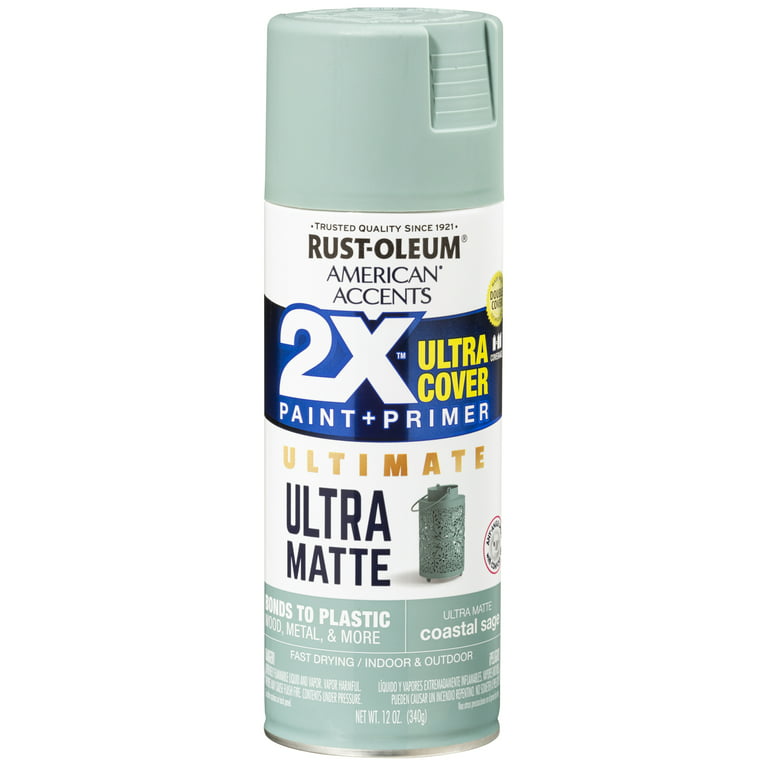 Sage Green, Rust-Oleum American Accents 2x Ultra Cover Gloss Spray Paint- 12 oz, Size: 12.0 oz