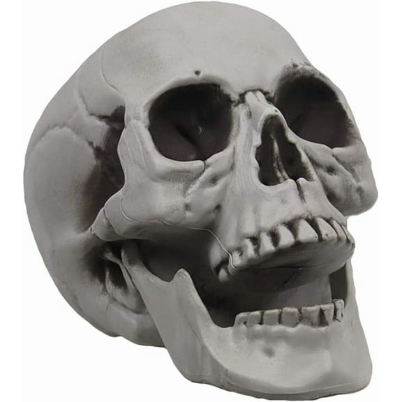 Life Size Skeleton Skull for Halloween Decor Graveyard Outdoor White，Halloween Decor for Garden Yard Porch Indoor Party Haunted Graveyard