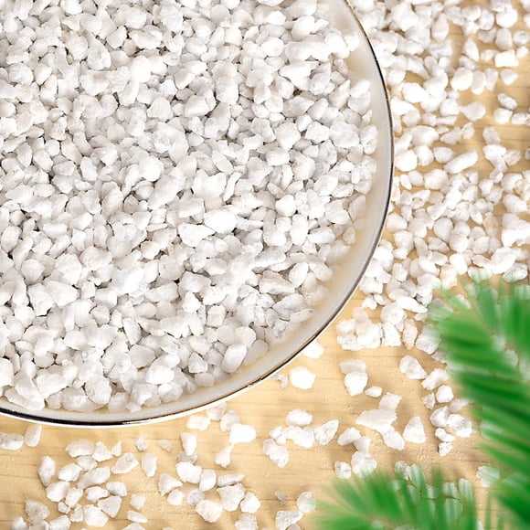 LNGOOR 3 QT Perlite for Plants Organic Perlite Bulk for Indoor Plants Succulents Vegetables Garden Horticultural Perlite for Soil Potting Soil Mix Root Cuttings Seed Starting