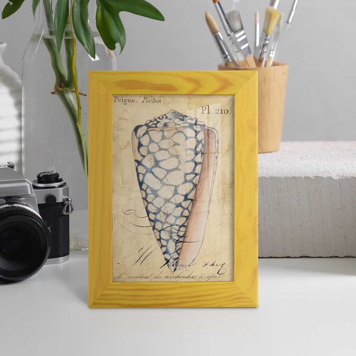 Seashell Ephemera IV - Framed Print w/glass - Sunflower Yellow