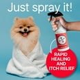 thumbnail image 5 of DR. BAILEY'S Miracle Animal Spray - 16 OZ Hot Spot Treatment for Dogs Spray | For Skin, Paws, Eyes & Ears | Skin Irritation Treatment | Anti Itch, 5 of 7