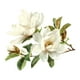 thumbnail image 3 of Xihbxyly Pegatinas para Coche, Decoración de Pared con Diseño Romántico de Rosas, Pegatinas Impermeables para Azulejos, Antirayaduras, Protección de La Pintura, Personalización Del Vehículo, Fácil Ap, 3 of 7