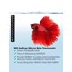 thumbnail image 4 of 2pcs Lcd Digital Thermometer Stickers With Color-changing Feature For Fish Tanks, Reptile Tanks Within 18-34°c Temperature Range, Suitable For Fish Ke, 4 of 5