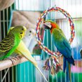 thumbnail image 2 of Fosa Colorful Easy To Install Bird Climbing Ring, Safe Bird Cotton Rope Swing, Birds Animals For Pets Parots, 2 of 8
