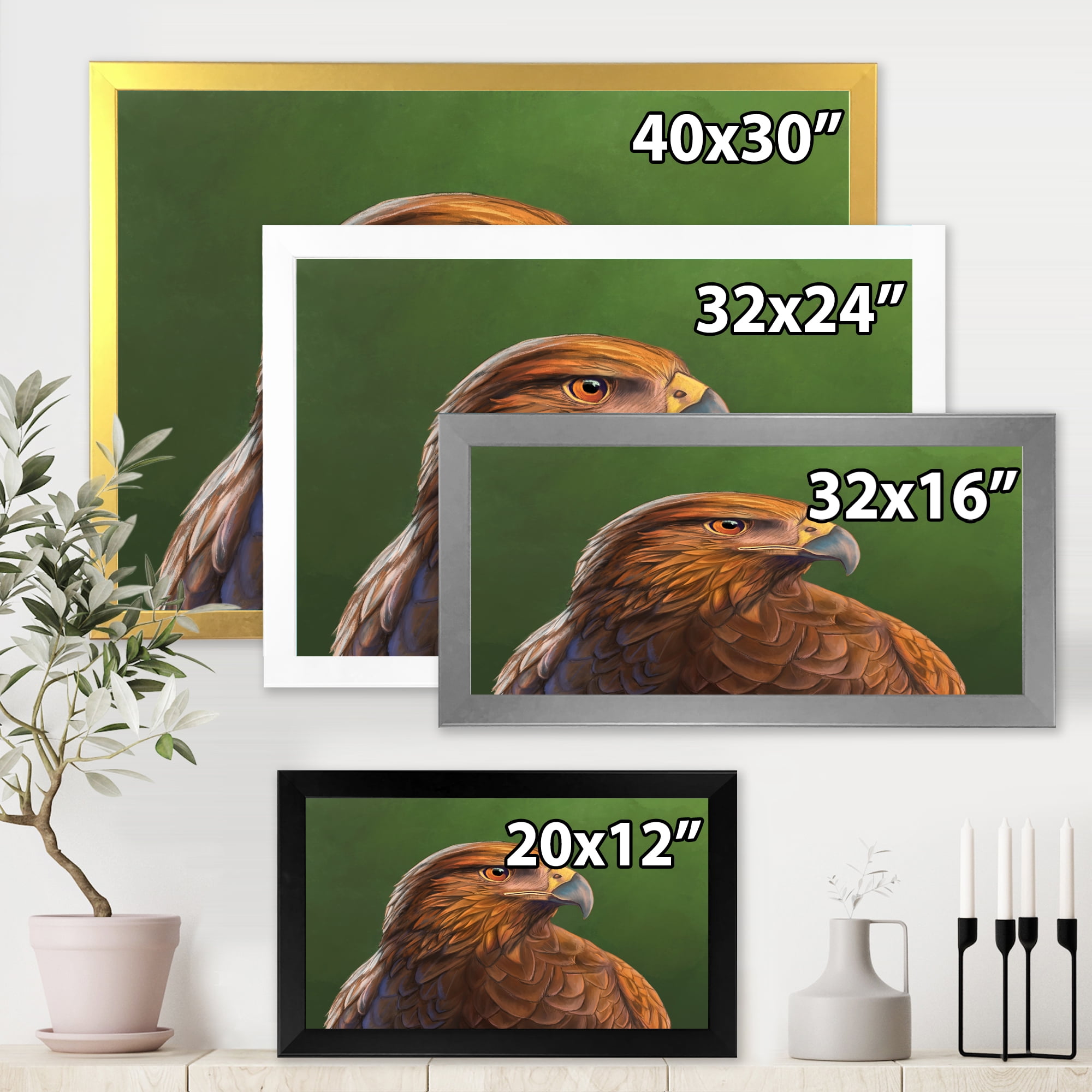 Designart 'Close UP Of Harris Hawk Bird' Traditional Framed Art Print