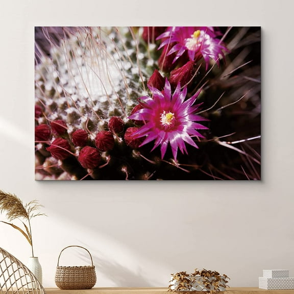 PixonSign Framed Wall Art Print Purple Cactus Flowers Nature Wilderness Photography Realism Southwest Closeup Colorful Multicolor Neon for Living Room, Bedroom, Office - 32"x48"