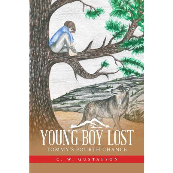 Young Boy Lost: Tommy's Fourth Chance (Paperback)