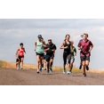thumbnail image 3 of AmPm mens Multi-Pack Bolt Performance Comfort Fit No-Show Socks, 3 of 4