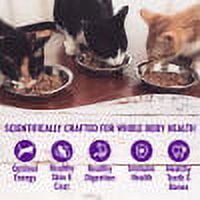 (2 pack) Wellness Healthy Indulgence Gravies Variety Pack Adult Wet Cat Food, Natural, Protein Rich, Grain Free, 2 Flavors, 3 oz, Pack of 8 Pouches