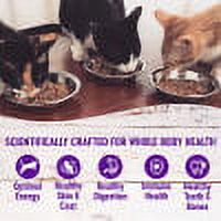 Wellness Complete Health Natural Grain Free Wet Canned Cat Food, Cubed Tuna Entree, 5.5-Ounce Can (Pack of 24) - image 2 of 8