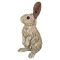 thumbnail image 4 of RABBIT STANDING DRIFTWOOD LOOK, 4 of 4