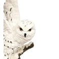 thumbnail image 2 of FC Design 17"H Snowy Owl Wings Up Statue Wild Animal Decoration Figurine, 2 of 6