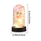 thumbnail image 3 of Xihbxyly Rosa Preservada, Caja de Luz Led con Flor Eterna, Sorpresa Romántica para Ella, Regalo de Cumpleaños y Aniversario, Empaque Elegante, Regalo de San Valentín, Tamaño 15,5 X 8,5 X 8 Cm., 3 of 6