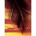 thumbnail image 1 of Great BIG Canvas | Rolled Ron Dahlquist Poster Print entitled Hawaii, Silhouette Of Palm Frond Against Orange Sunset, 1 of 4