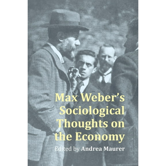 Max Weber's Sociological Thoughts on the Economy (Hardcover)