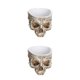 thumbnail image 3 of Bewildely Llamativa maceta con forma de calavera, maceta de resina única para plantas, maceta con cabeza de calavera de amplia aplicación M 4 m 4 2piezas, 3 of 6
