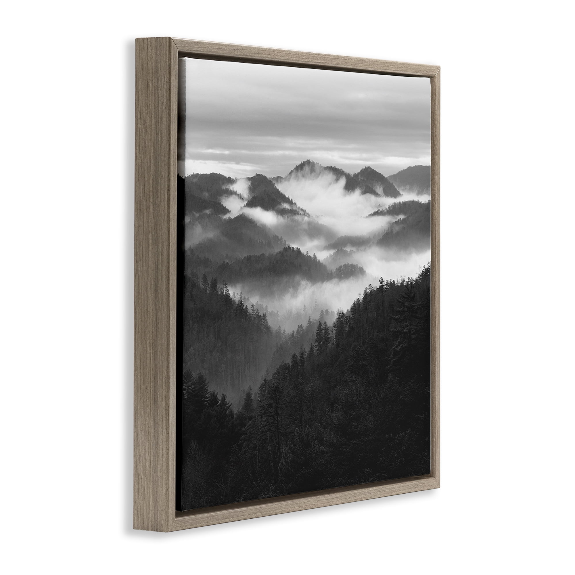 Stupell Industries Smoky Mountains Forest Brown Framed Floater Canvas Wall Art, design by Nicholas Bell