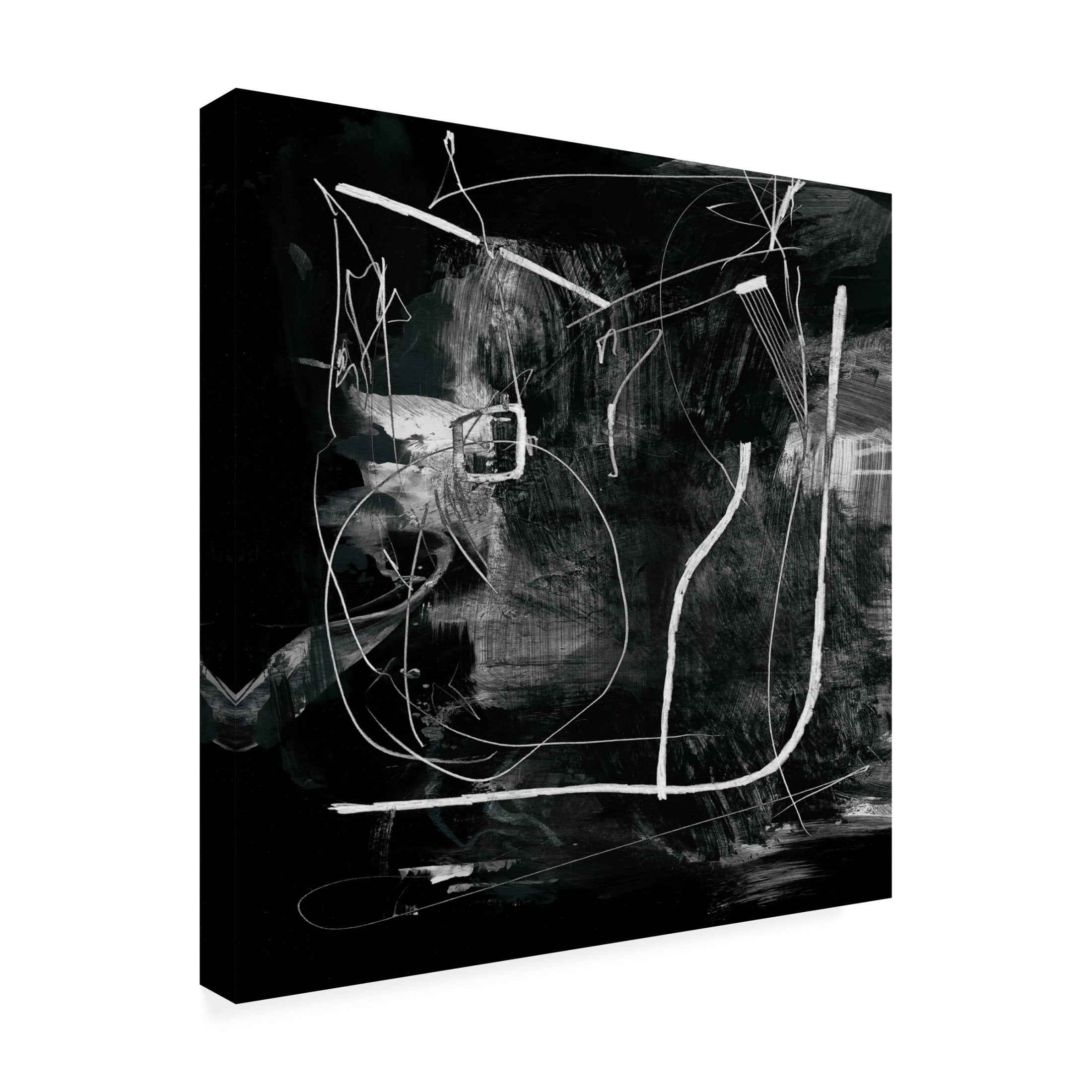 Trademark Fine Art Dan Hobday Mono Canvas Wall Art
