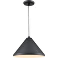 thumbnail image 6 of Millennium Lighting RWCC13-SB R Series 13" Wide Pendant - Black, 6 of 6