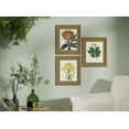 thumbnail image 5 of Beautiful Framed Vintage Florals Elm Tree Leaves-Yellow Flowers-Peony Flower 3-Piece Set by Drew Barrymore 10" X 12", 5 of 13