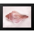 thumbnail image 2 of House Fenway 18x15 Black Modern Framed Museum Art Print Titled - Conch Shell Blush I, 2 of 5