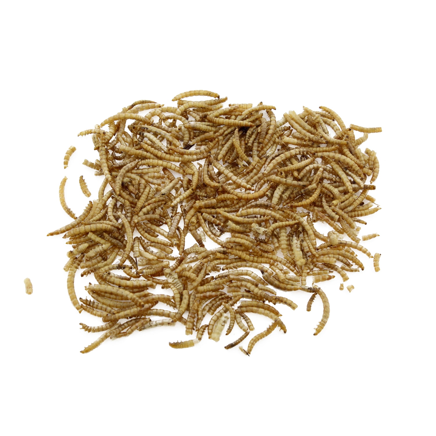 Rural365 Dried Mealworms for Chickens 11 Pounds Protein Filled Chicken Treats 