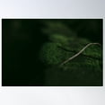 thumbnail image 2 of Moss Poster Wall Art, Modern Wall Decor For Living Room Bedroom, 24x36 UNFRAMED, 2 of 3