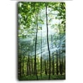 thumbnail image 2 of Green Sunny Forest - Landscape Photography Canvas Art Print, 2 of 3
