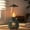 Green, variant on Kerosene Lamp Bluetooth Speaker with FM Radio, QQZ Vintage Wireless Audio Night Light, Portable Outdoor Rechargeable Lantern for Camping Bedroom, Green