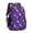 Dinosaur and Planet, variant on Dinosaur and Planet Purple Pattern Backpack for School, Cute School Bag with Adjustable Shoulder Straps and Padded Back, 16.9"x12.6"x5.9"