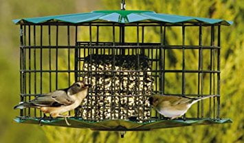 Heath Outdoor Products Wild Bird Suet Cake Bird Food Songbird's Blend, (12 Pack)