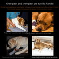 thumbnail image 4 of 2024 Dog Knee Pet Surgery Recovery Protection Joint Amazon Hot New Pet Products Manufacturers, 4 of 5