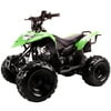 Coolster 110cc Kids ATV 3050B