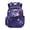 Galaxy Axolotl, variant on Yspwyqan Cute Axolotl Pineapple School Backpack for Kids, 17 Inch 600D Polyester Lightweight Bookbag Fits 15.6 Laptop, Multi-Pocket for Elementary Middle Travel Hiking