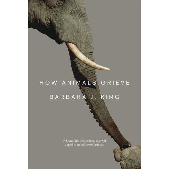 How Animals Grieve, (Paperback)