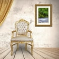 thumbnail image 3 of Jones, Adam 17x24 Gold Ornate Wood Framed with Double Matting Museum Art Print Titled - Ferns along cascade-Columbia River Gorge National Scenic Area-Oregon, 3 of 4