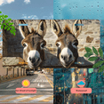 thumbnail image 5 of 1 Pcs 2D Flat License Plate Covers & Frames, Two Donkeys For Decorative Front, Waterproof For Decoration Aluminum License Plate Covers & Frames Cover For Men Women, 12" X 6", 5 of 7
