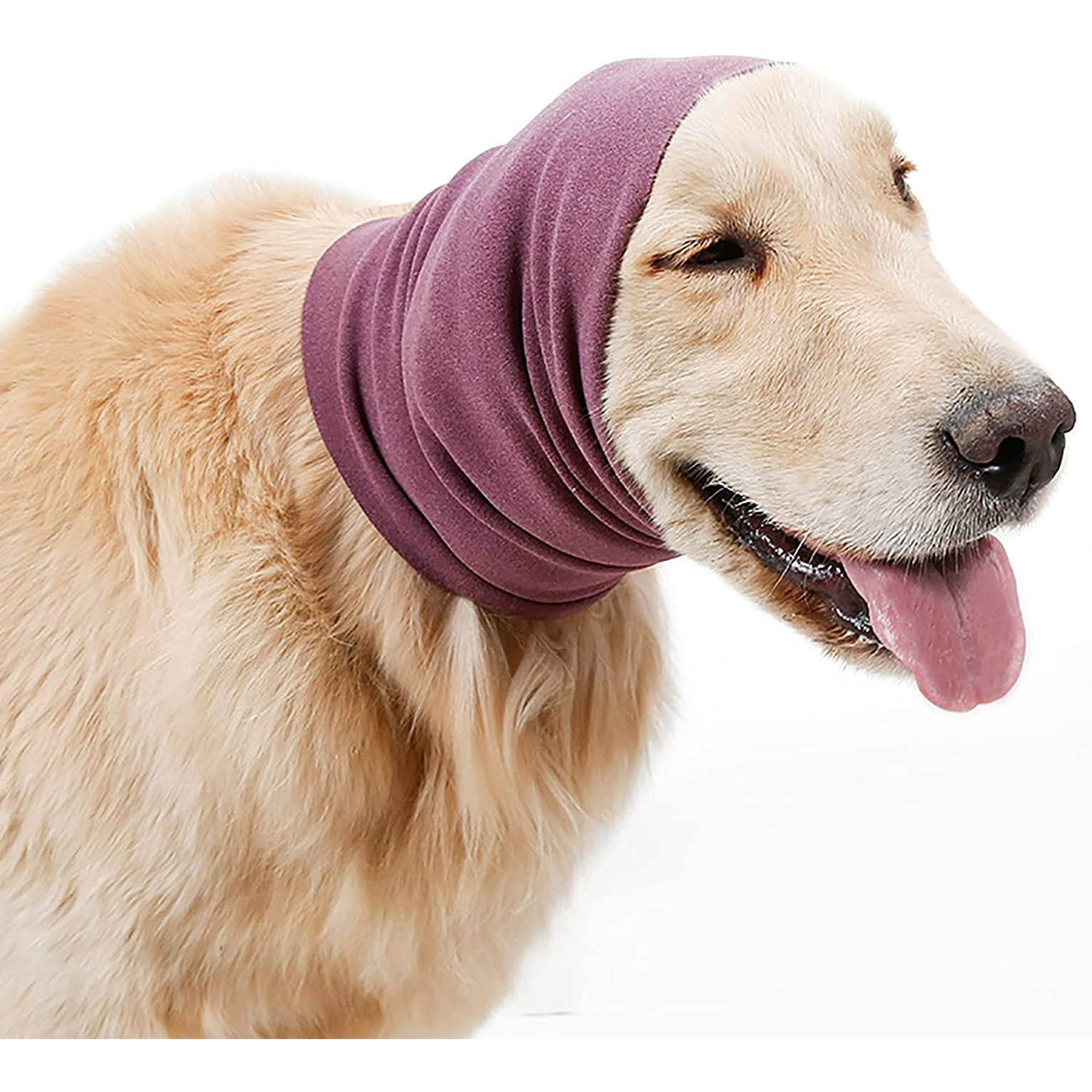 Dog Covering Ears