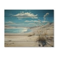 thumbnail image 3 of Designart "Grass on the Beach Dunes I" Landscapes Print on Natural Pine Wood, 3 of 5