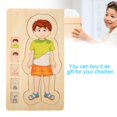 thumbnail image 4 of Multilayer Brick Toy, Human Body Structure Brick Toy, Wooden Intelligent Brick Toy Durable For Home Girls School Boys, 4 of 8