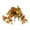 F, variant on Brownish Yellow Simulated 12 Forked Morning Glory Flower – 12 Pronged Morning Glories – Outdoor European Retro Roman Vase Basin Decoration Miyuadkai
