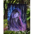 thumbnail image 3 of Carolines Treasures SS8385GF Starry Night Cocker Spaniel Flag - Garden Size, 3 of 3