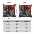 thumbnail image 4 of The Legend of Zelda Throw Pillow Cover Decoration Pillow Case Cushion Home Decor for Home Sofa Couch 20"x20", 4 of 7